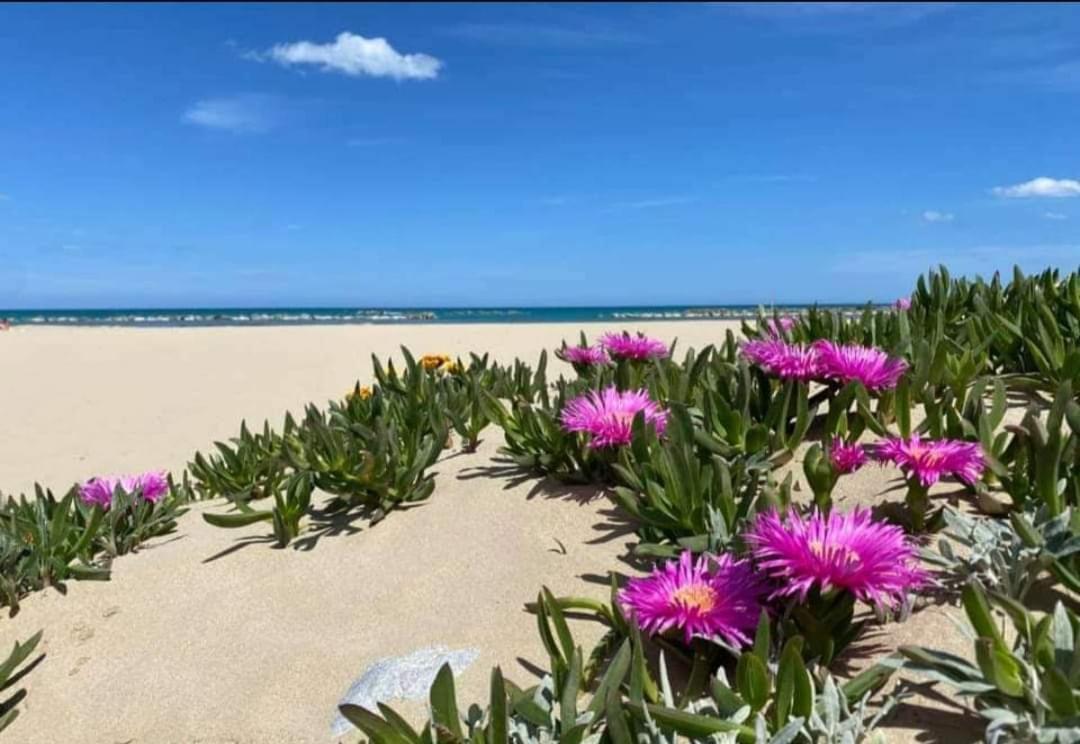 Marea Il Tuo Angolo Di Paradiso In Sicilia Ti Aspetta Prenota Ora E Vivi La Magia Del Mediterraneo Alcamo Marina Exterior foto